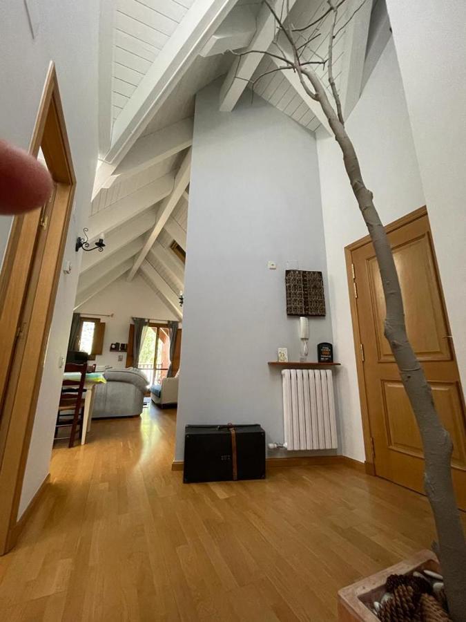 Apartamento Pico De Alba Benasque Εξωτερικό φωτογραφία